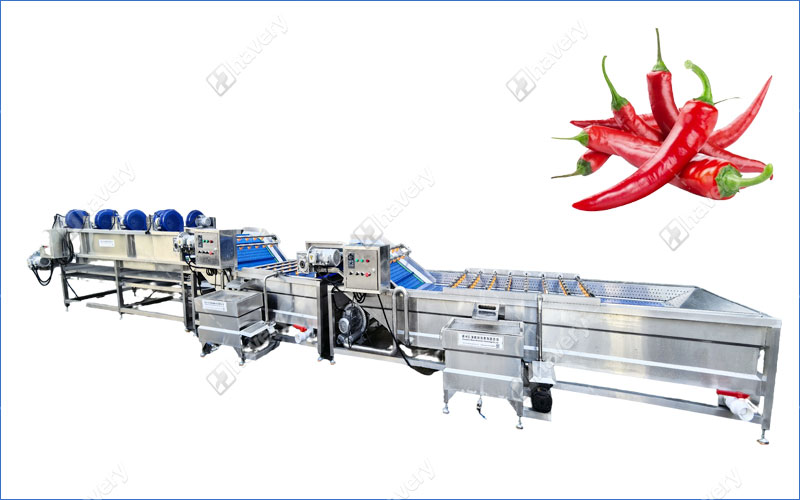 fresh chili washing line