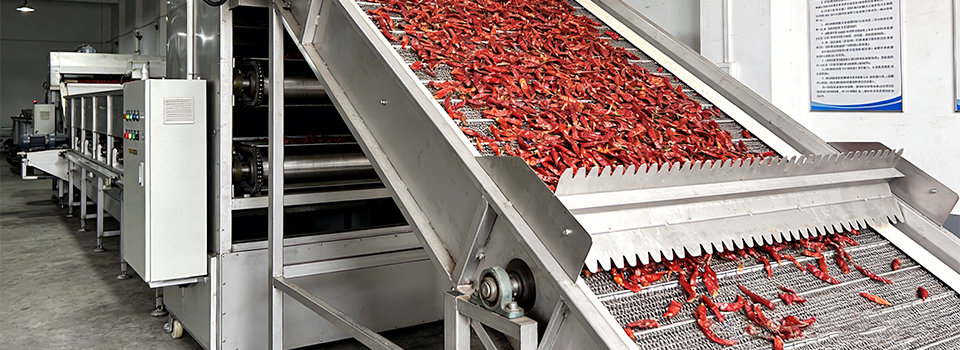 red chili drying machine in factory