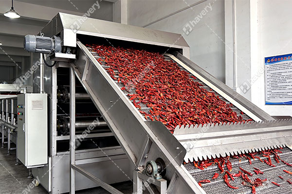 red chili mesh belt dryer